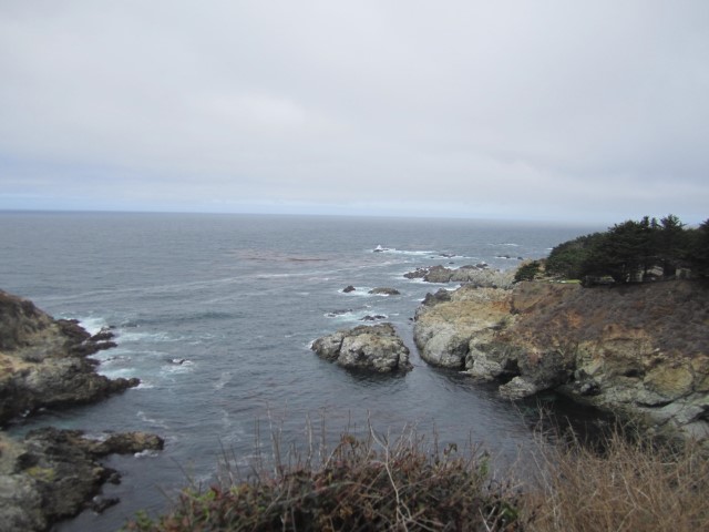IMG_1194.JPG